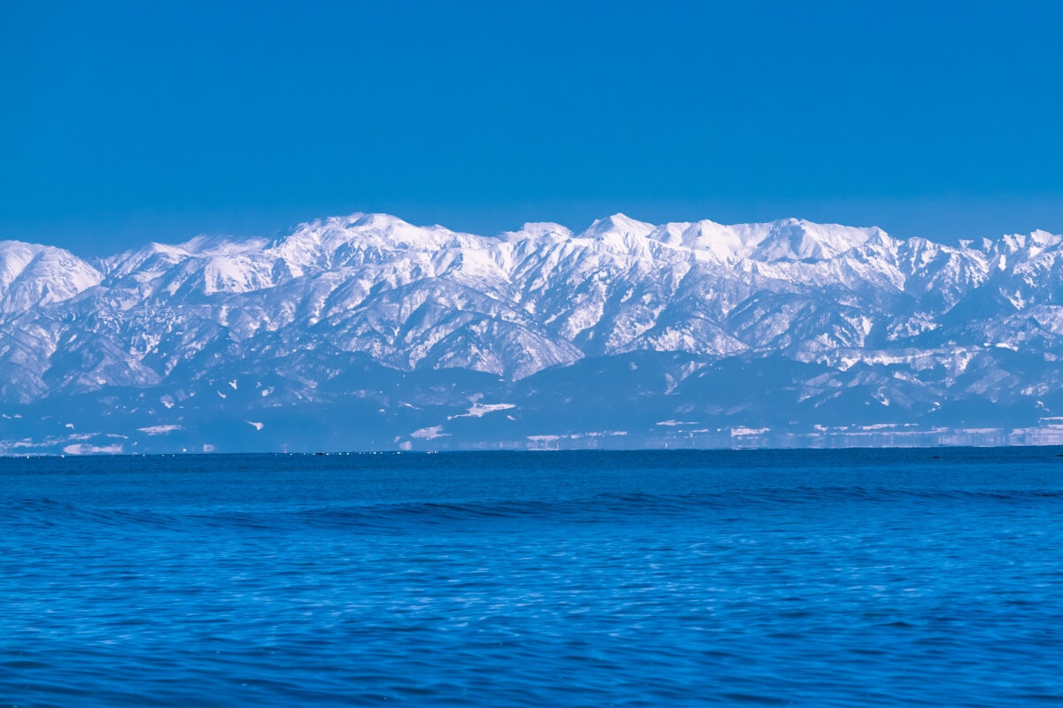 150年の仕入力。富山全港をつなぐネットワーク。