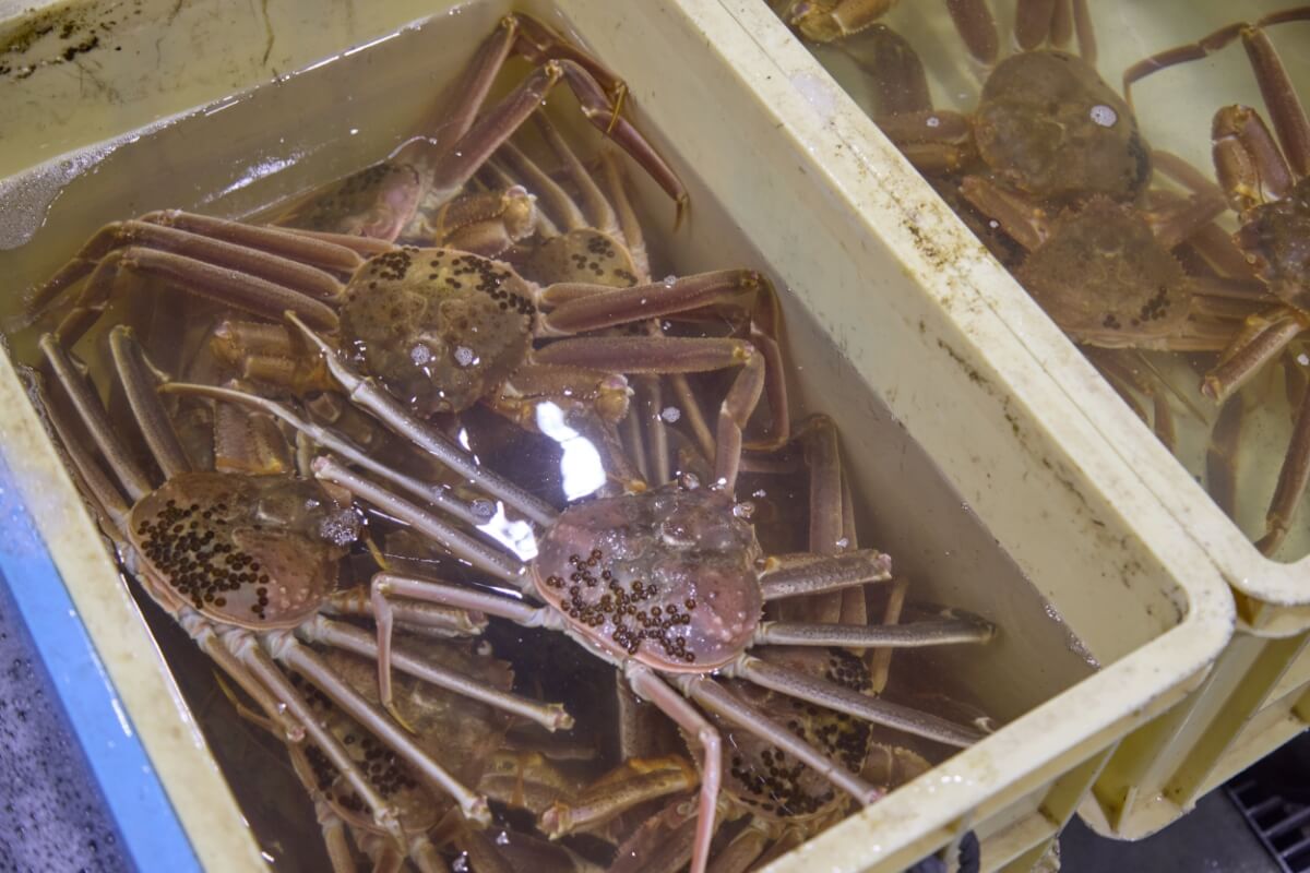 安心を約束する、徹底した品質管理